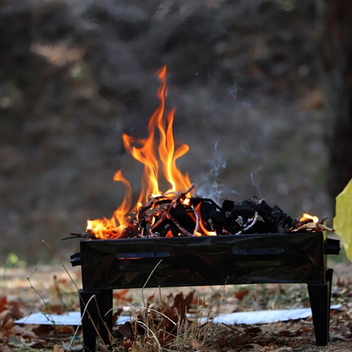 Outdoor cooking over an open fire